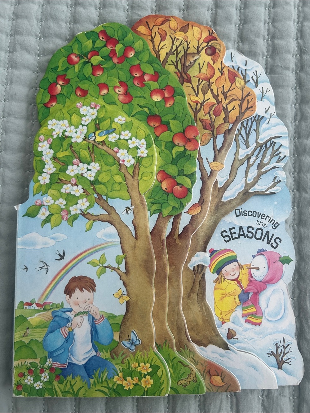 Discovering the Seasons Kids Board Book - Vintage books - G. Caviezel
